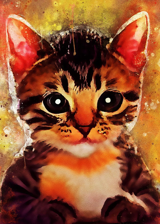 Splatter Cute Cat