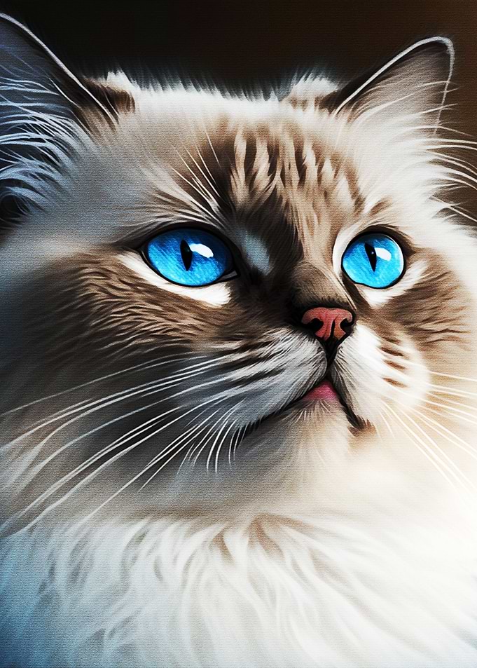 White Cat