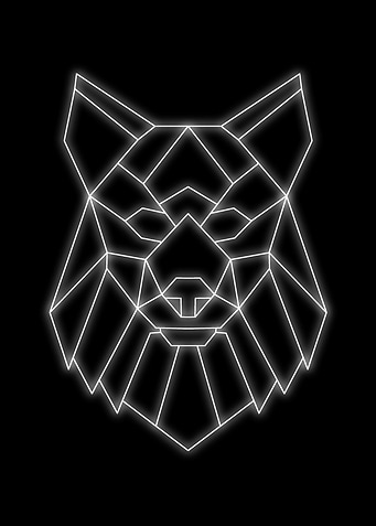 dog neon black white