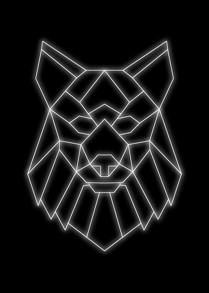 dog neon black white
