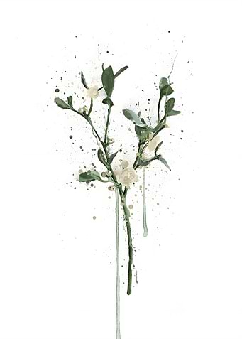 Christmas Gift Mistletoe