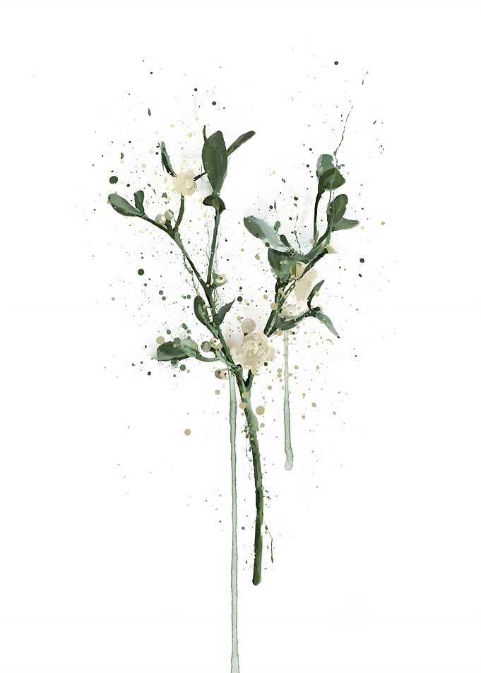 Christmas Gift Mistletoe