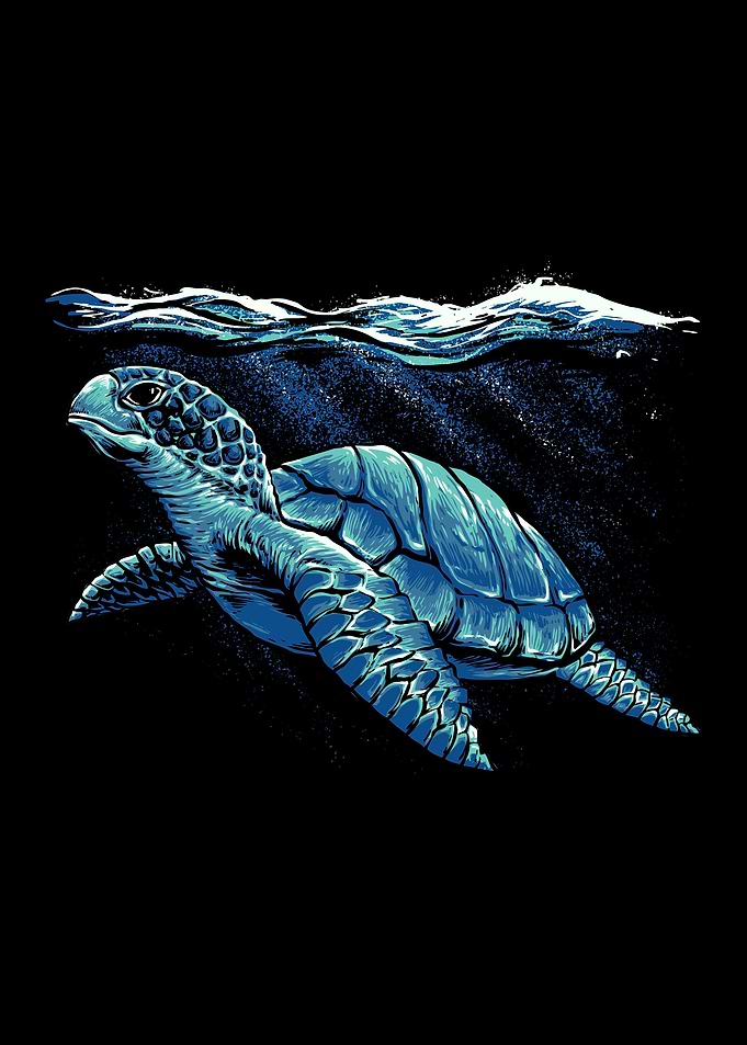 Turtle