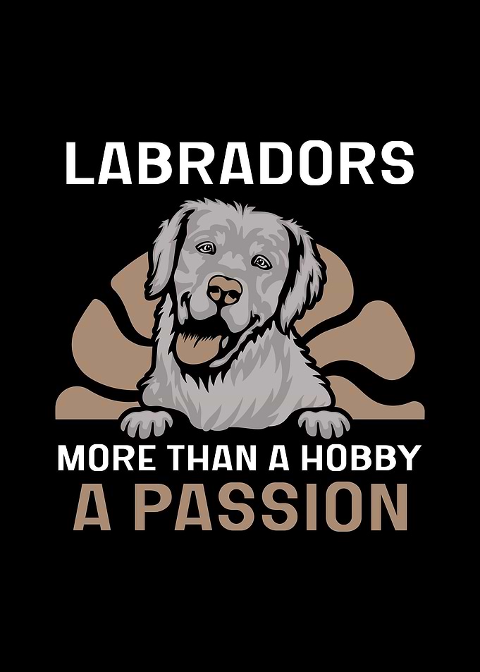 Labrador
