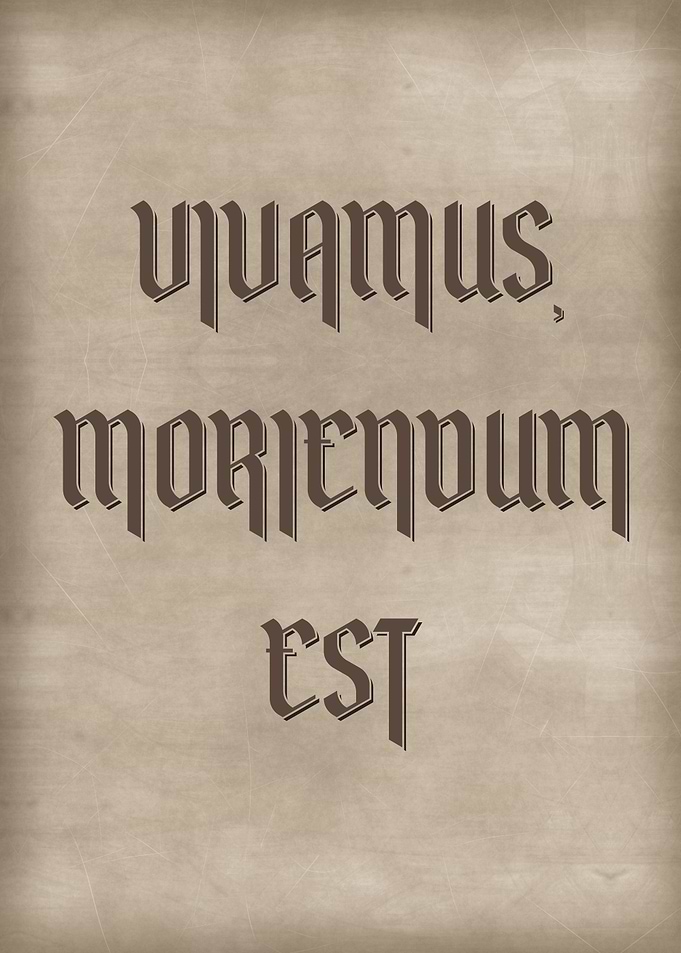VIVAMUS MORIENDUM EST