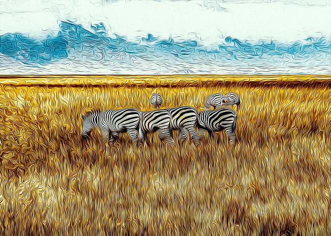 Zebra