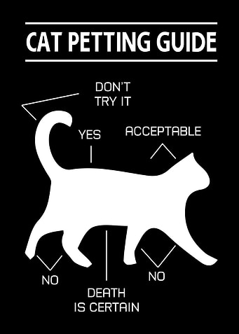 Cat Petting Guide
