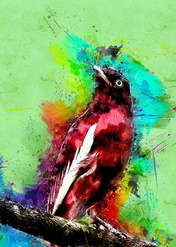Bird 208