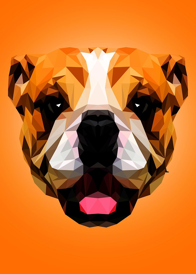 Bulldog
