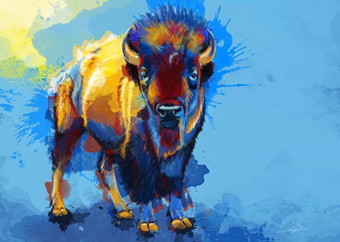 Beautiful Bison