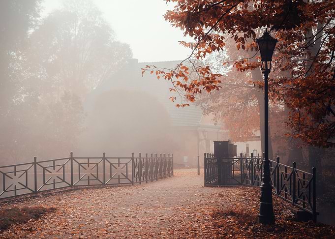 Autumn morning in the park