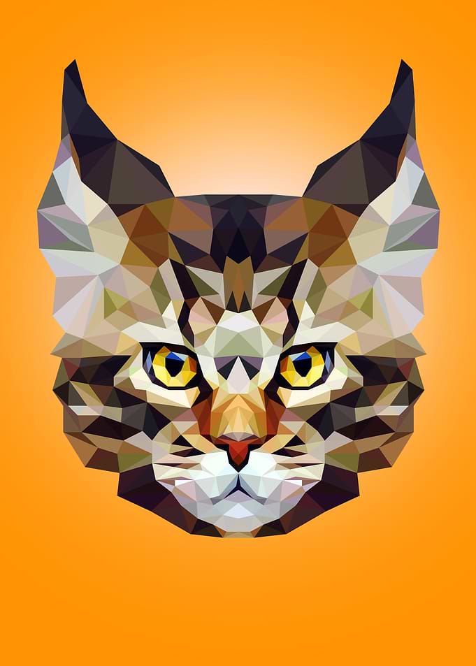 Lynx