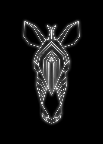 zebra neon black white