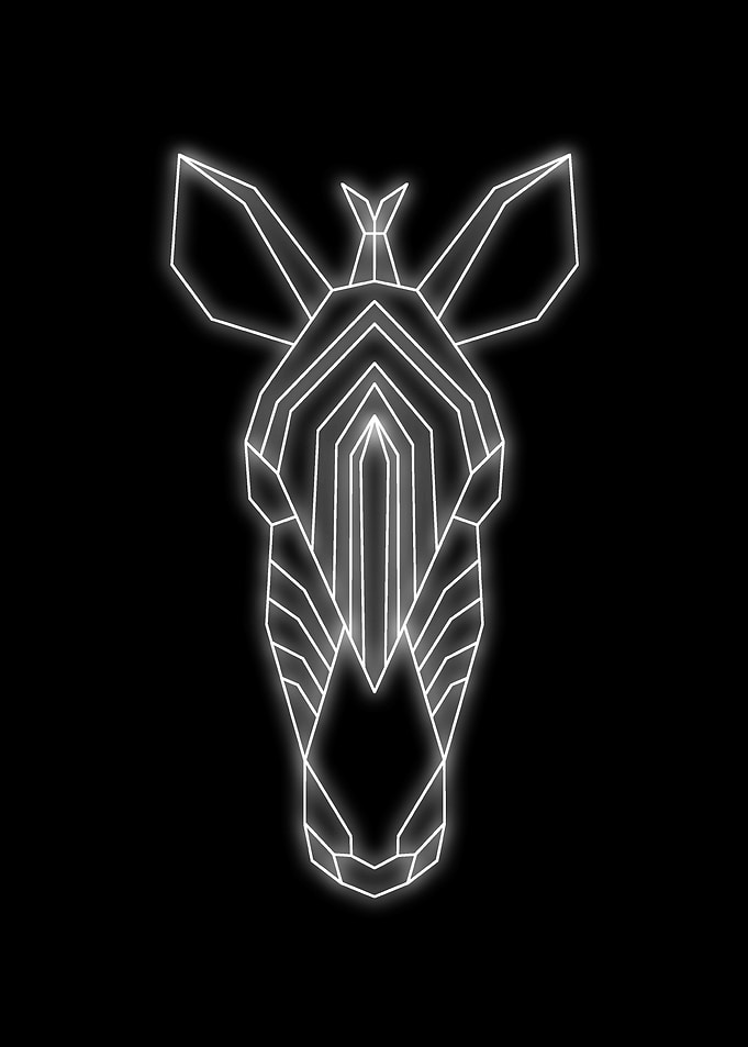 zebra neon black white
