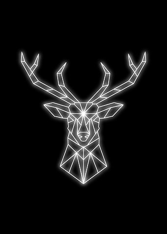 neon deer black white
