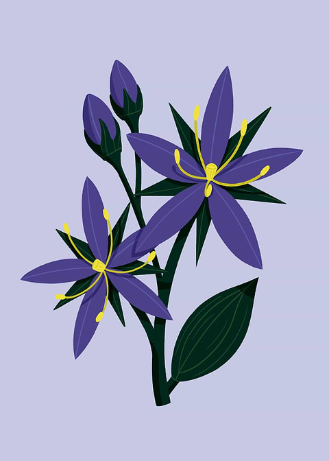 Purple Flowers