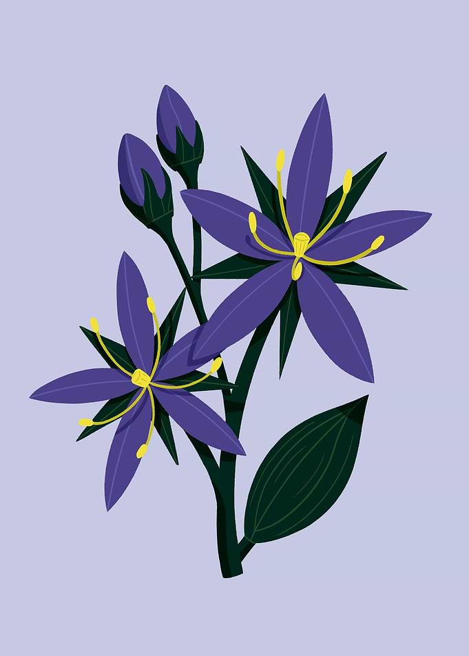 Purple Flowers