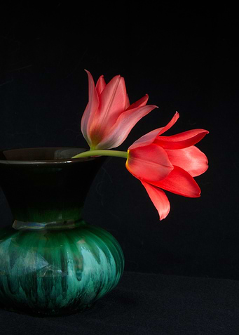 flower still life