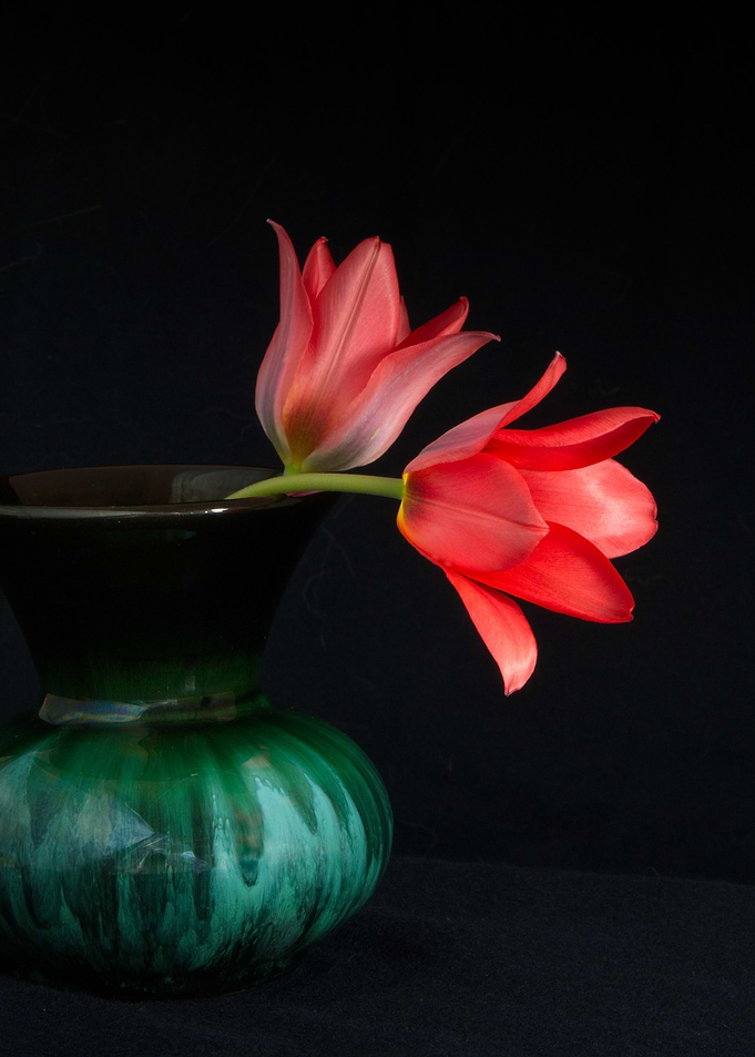 flower still life