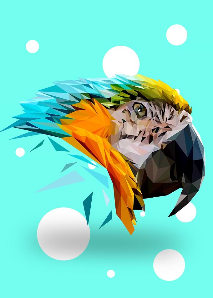 Parrot