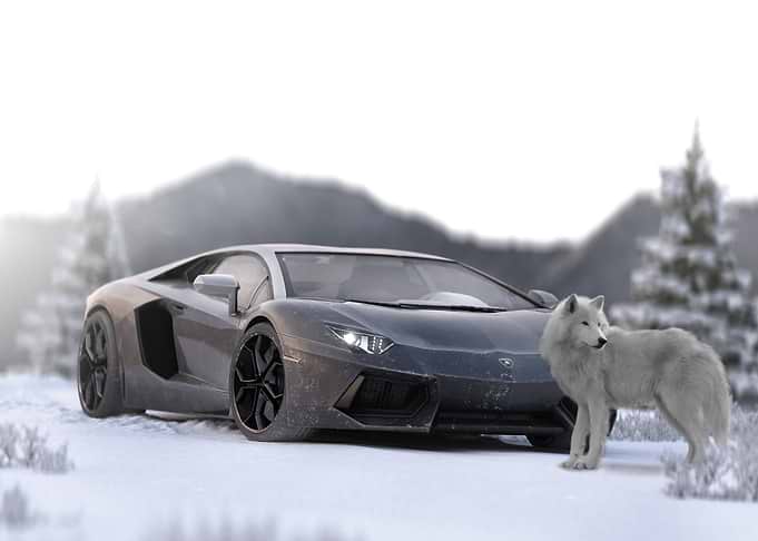 Lamborghini Aventador&Wolf