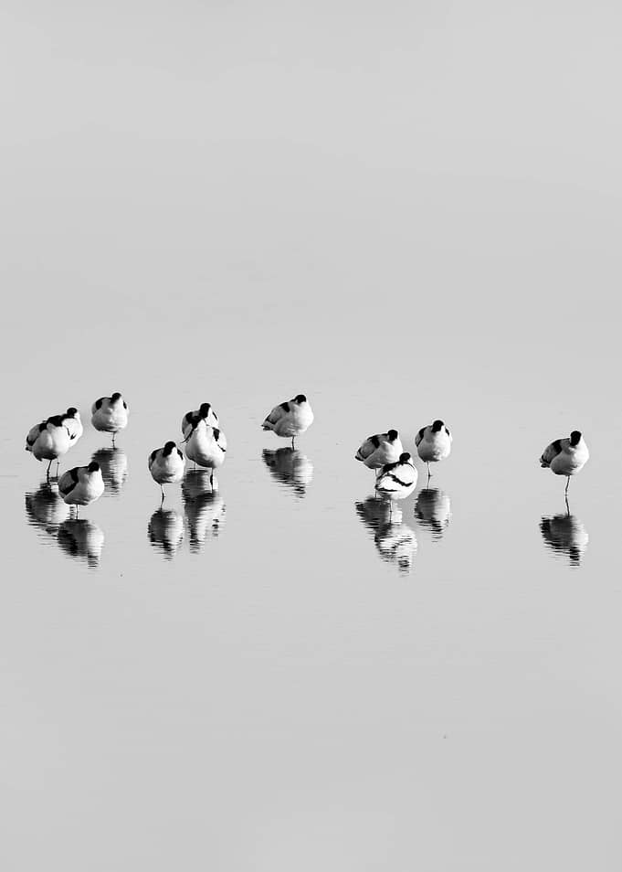 Chilling reflexion