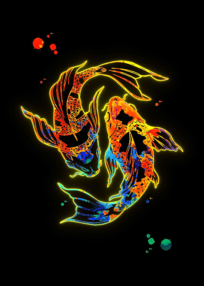 Koi Fish