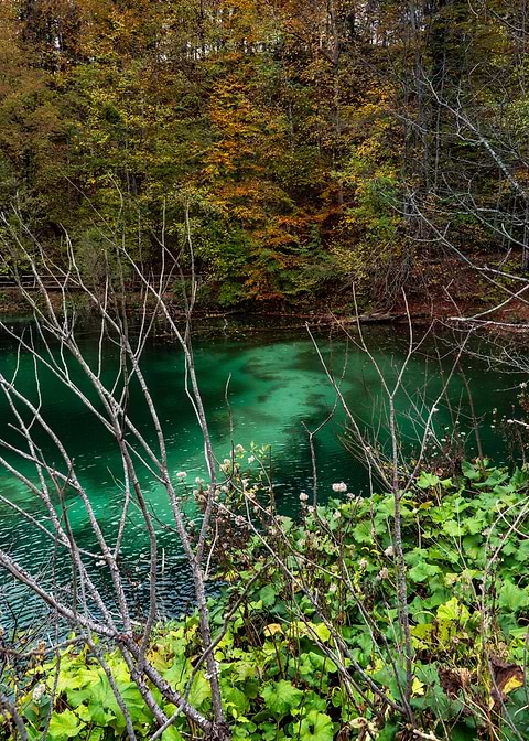 Lake
