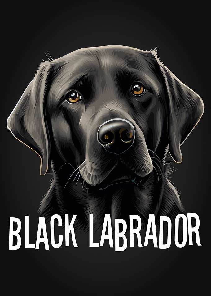 Black Labrador Dog Owner