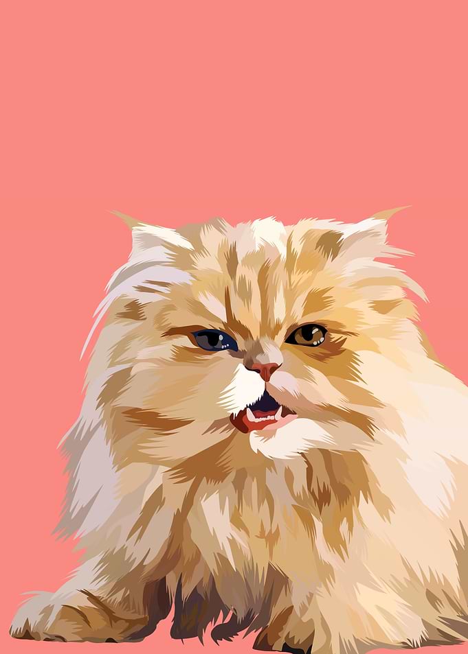 Persian cat in vector
