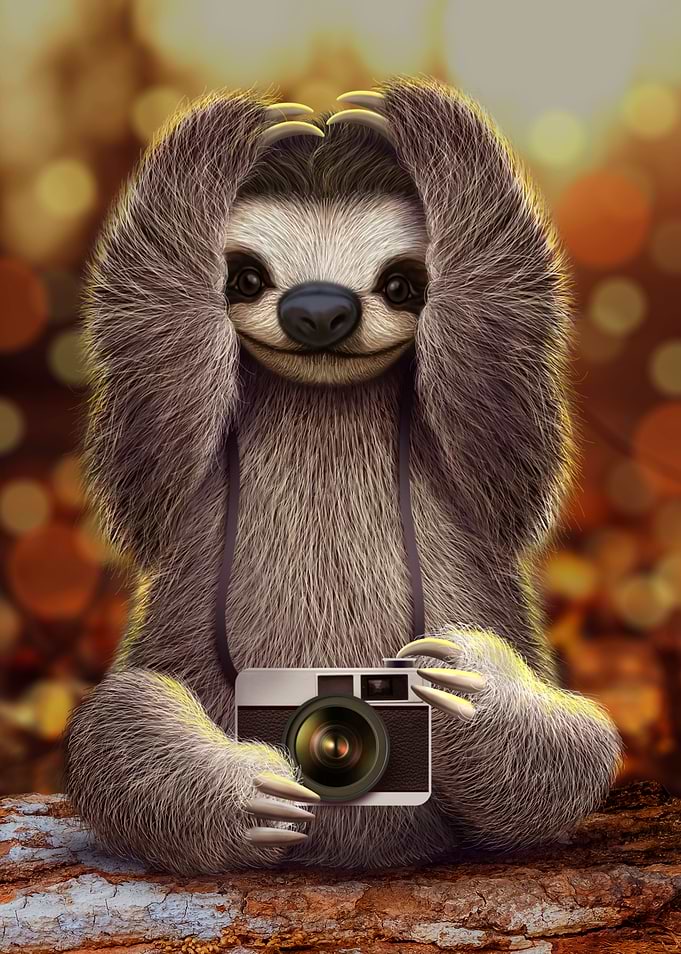 THE PHOTOGRAPHER