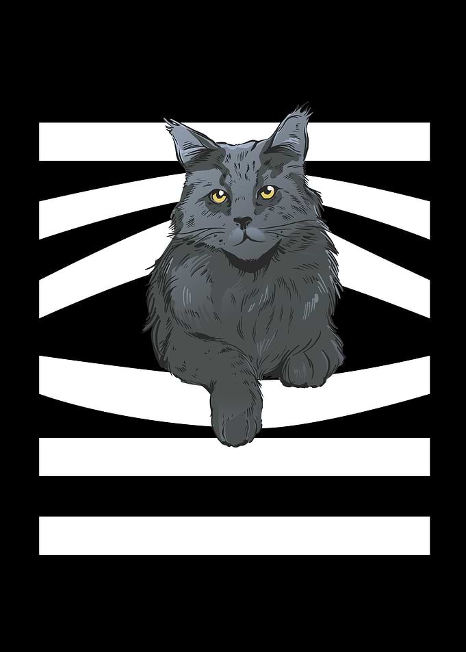 Kitten Cat Animal Rights
