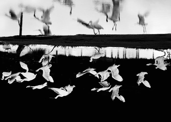 Take Off