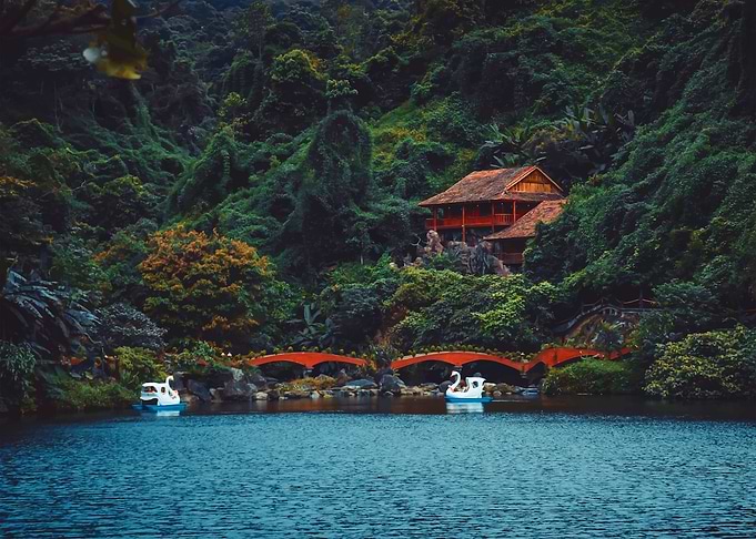 Vietnamese Nature