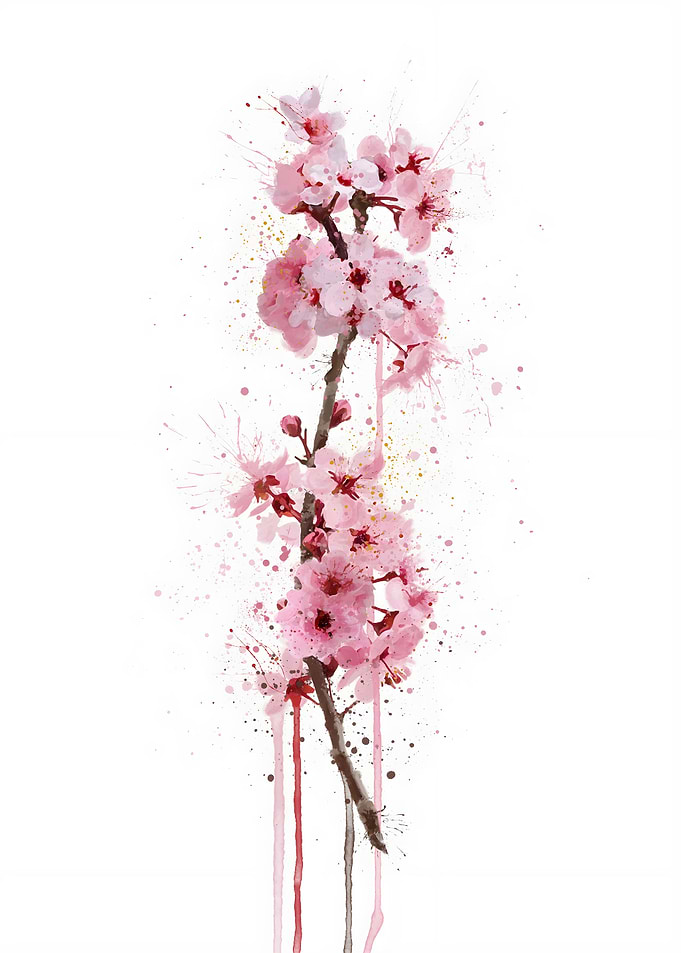 Cherry Blossom