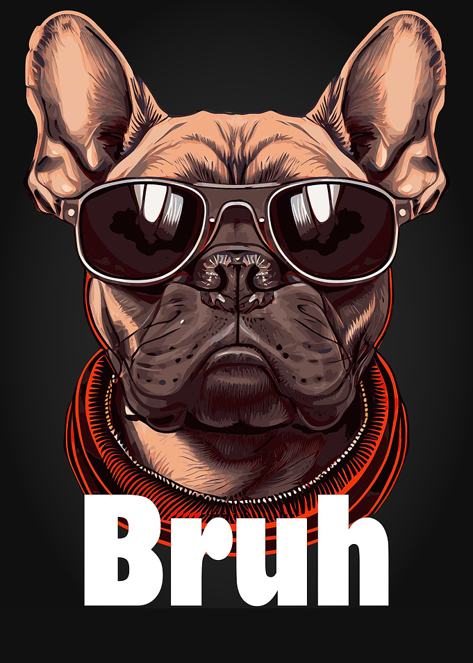 Bruh English Bulldog Meme