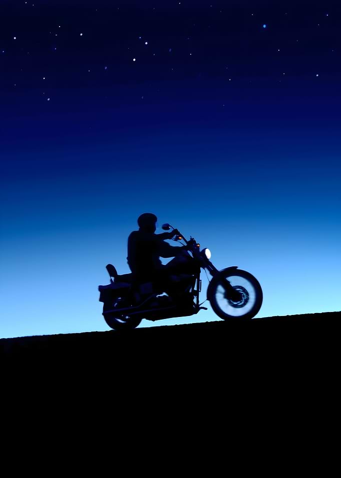 Harley davidson