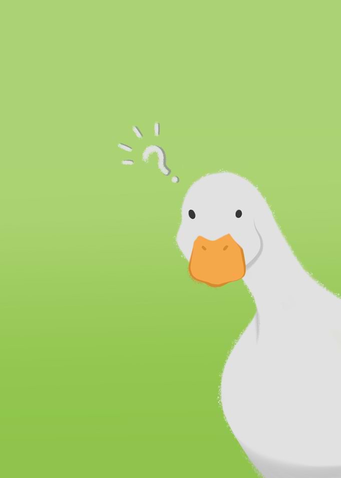 Curious Duck