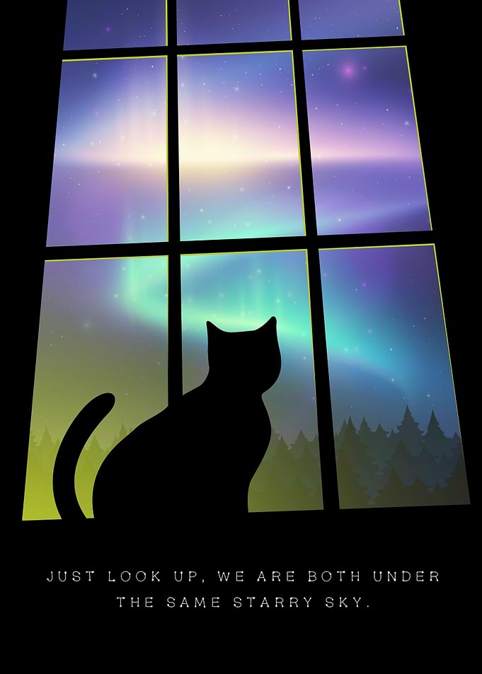 Best Cat Quote Minimal Art