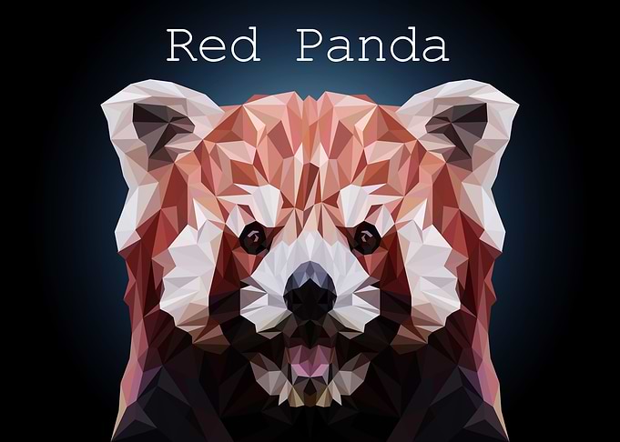 Red Panda