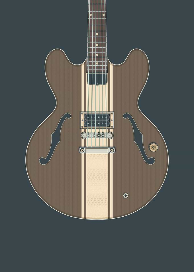 Tom D Signature 333 Guitar