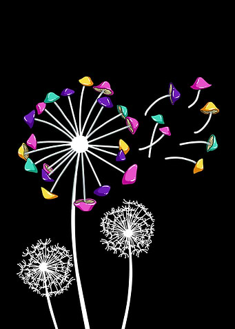 Dandelion Magic Shrooms