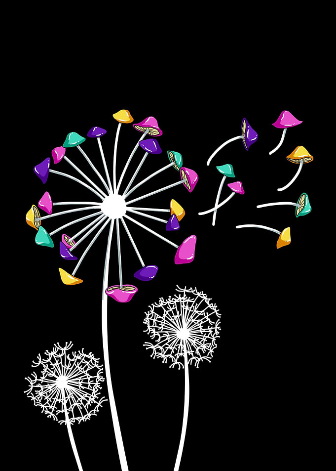 Dandelion Magic Shrooms