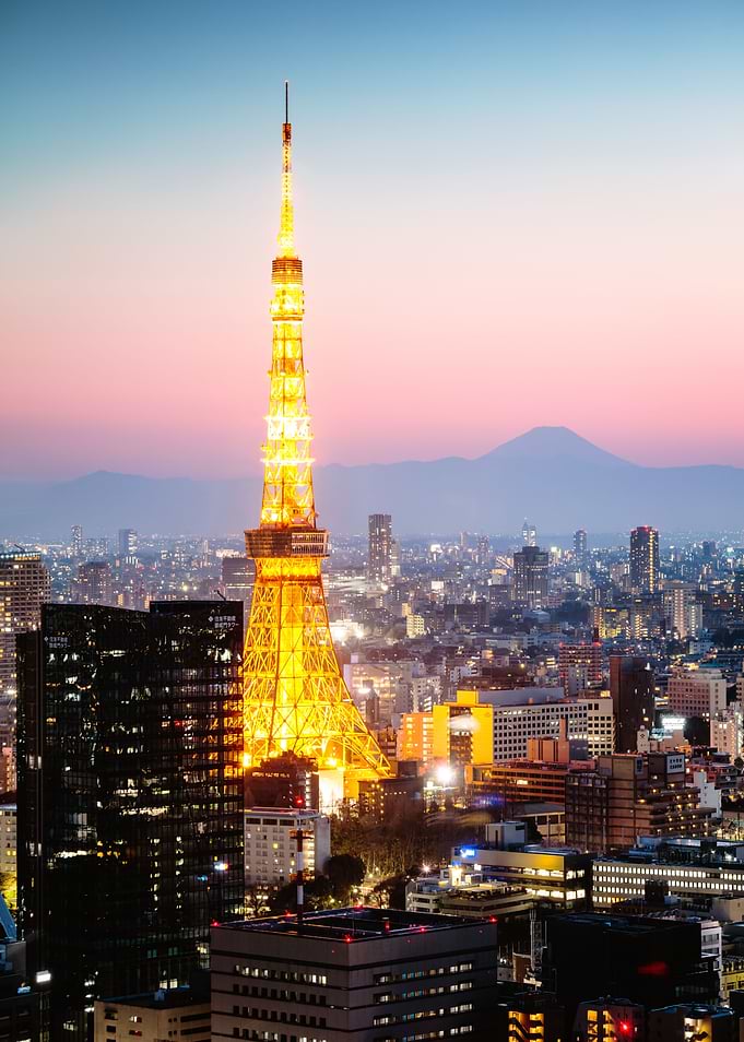 Tokyo skyline and Mt Fuji