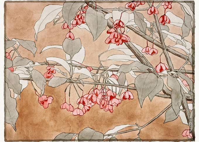 Burning Bush 1915