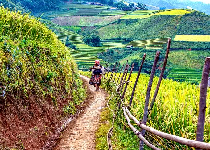 Vietnamese Nature