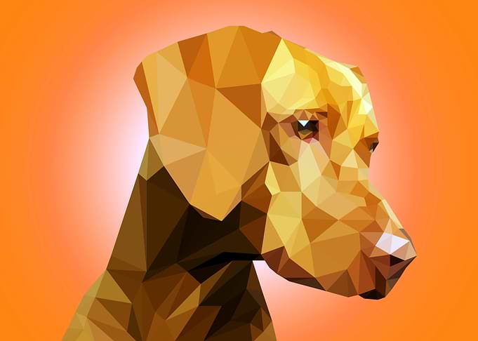 Pointer