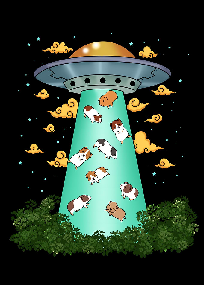 Guinea Pig Gift Kids Ufo