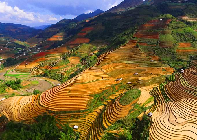 Vietnamese Nature