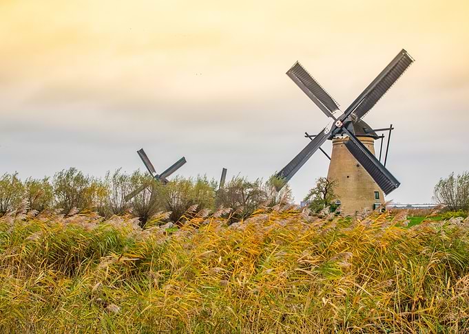 Mills and field
